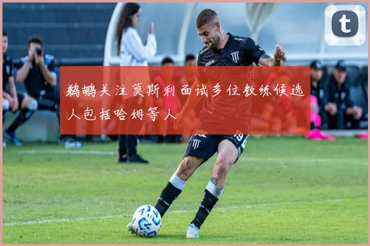 鹈鹕关注莫斯利面试多位教练候选人包括哈姆等人