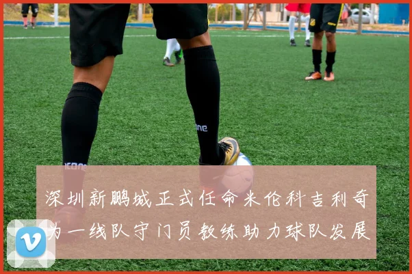 深圳新鹏城正式任命米伦科吉利奇为一线队守门员教练助力球队发展